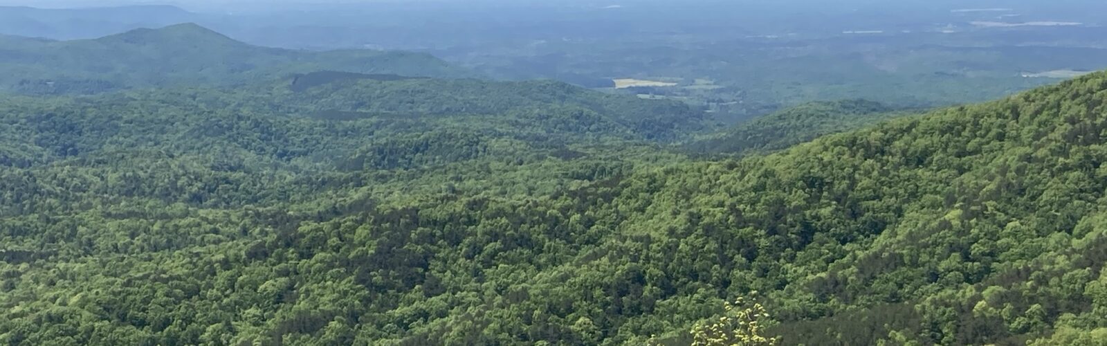 View from Fort Mountain, Murray County