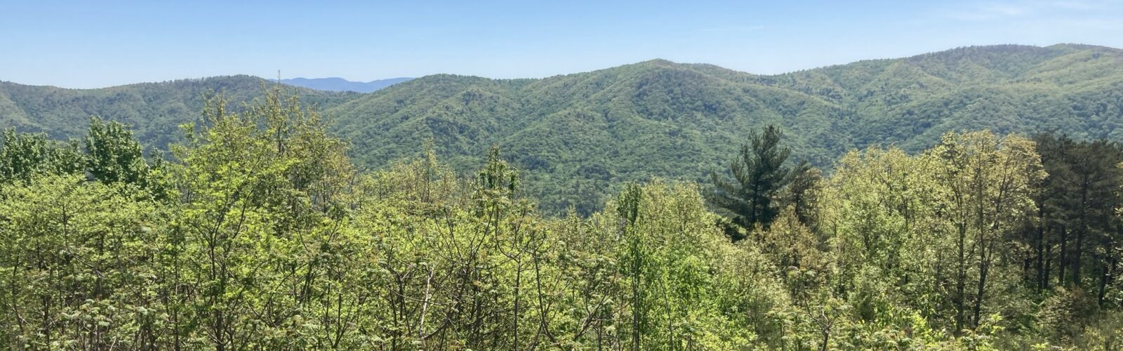 Mountain view east of Ellijay