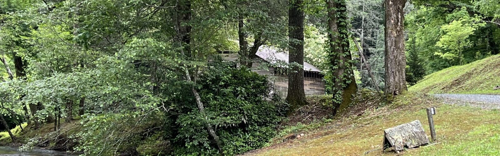 Elder Law Practice of David L. McGuffey, 400 N. Selvidge Street, Dalton, Georgia 30720